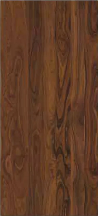 WPC digital print door design SGD-012